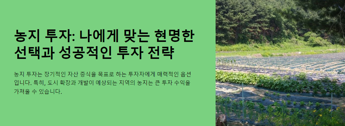 농지 투자: 나에게 맞는 현명한 선택과 성공적인 투자 전략