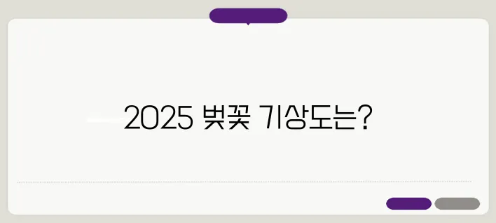 일본 벚꽃 여행 완벽 가이드 2025년 개화 시기와 추천 명소를 필요로 하는 당신에게 꼭 맞춘 정보입니다.