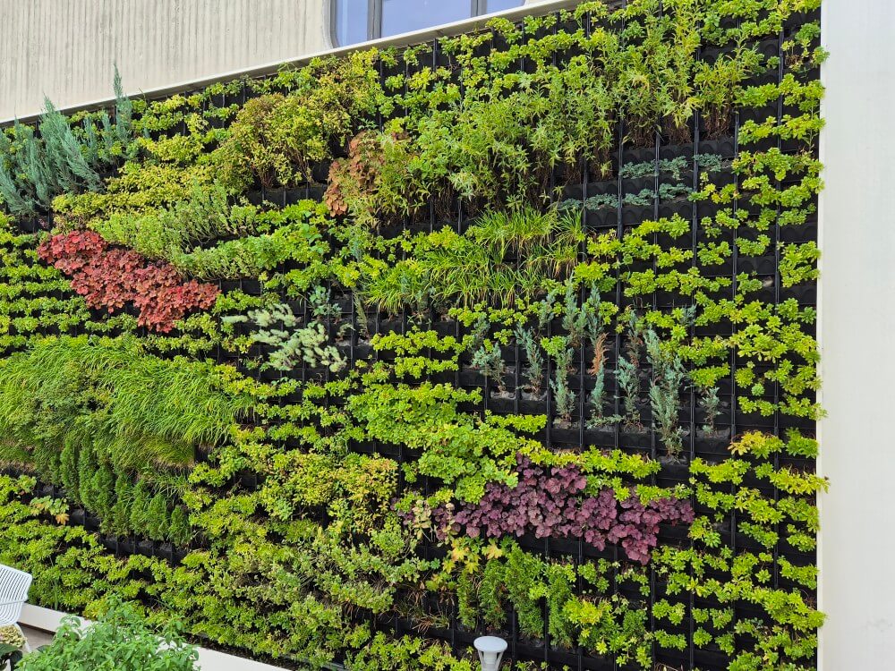 서울식물원 관련 사진6