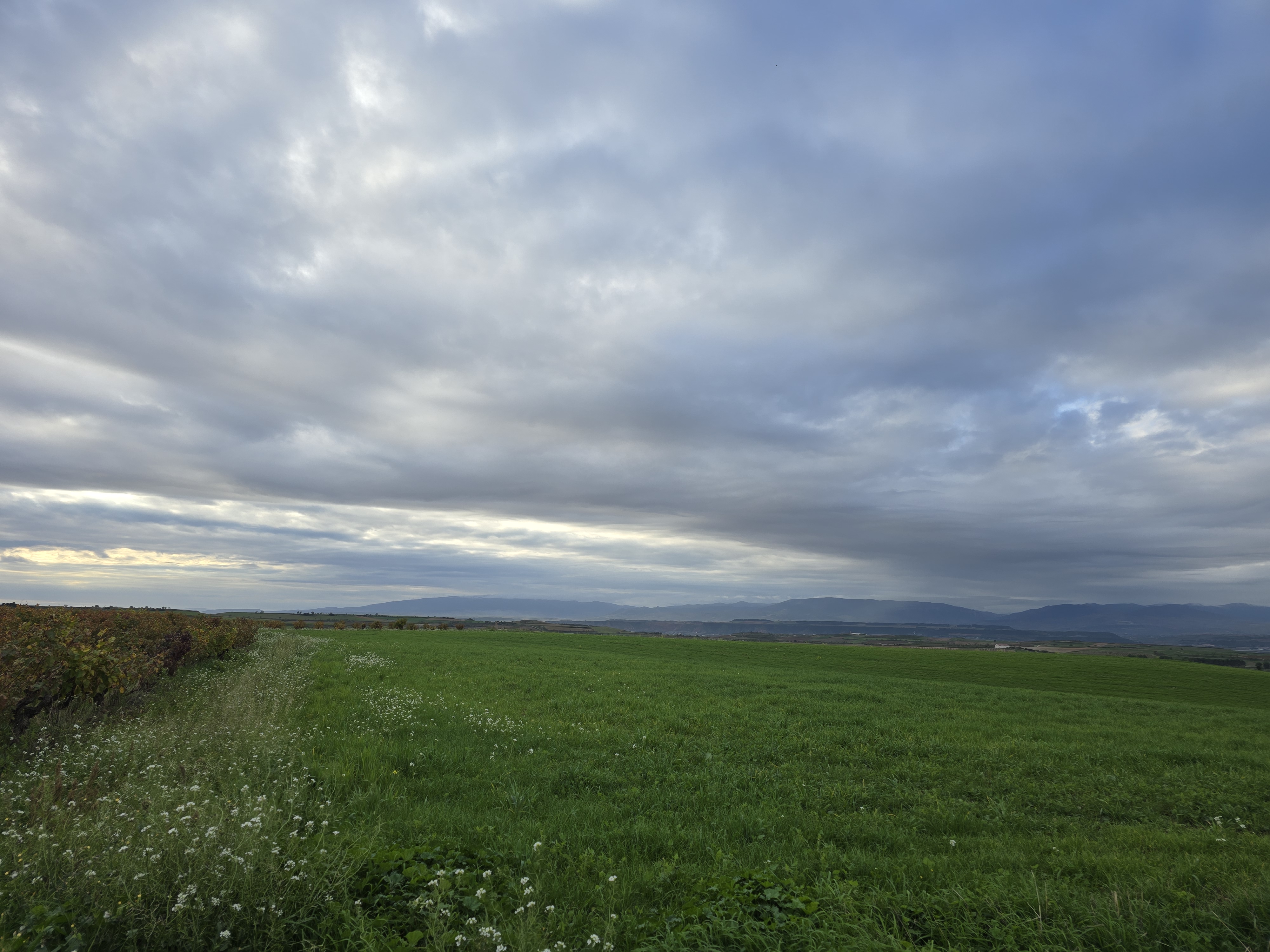 그라운딩 에너지 느껴보세요