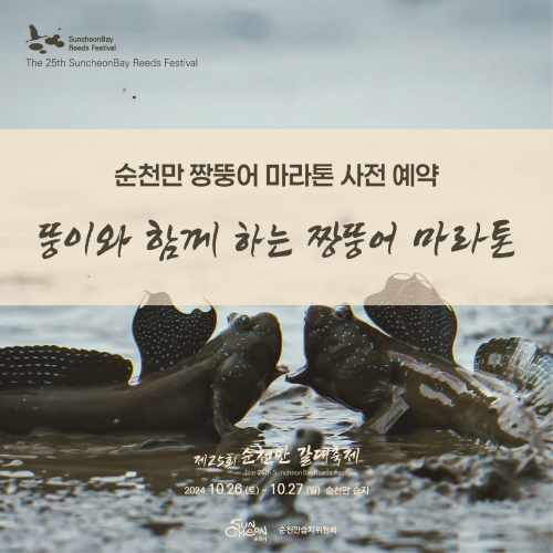 순천만 갈대축제