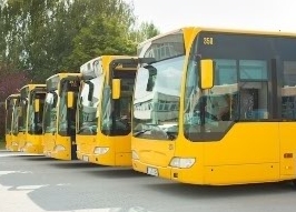 제주 182번 버스 노선 및 타는 곳