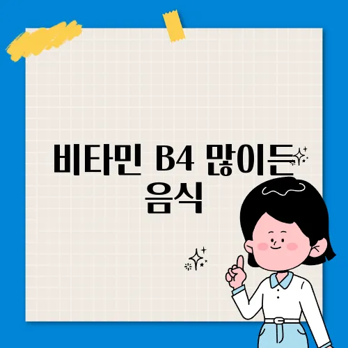 비타민 B4 많이든 음식