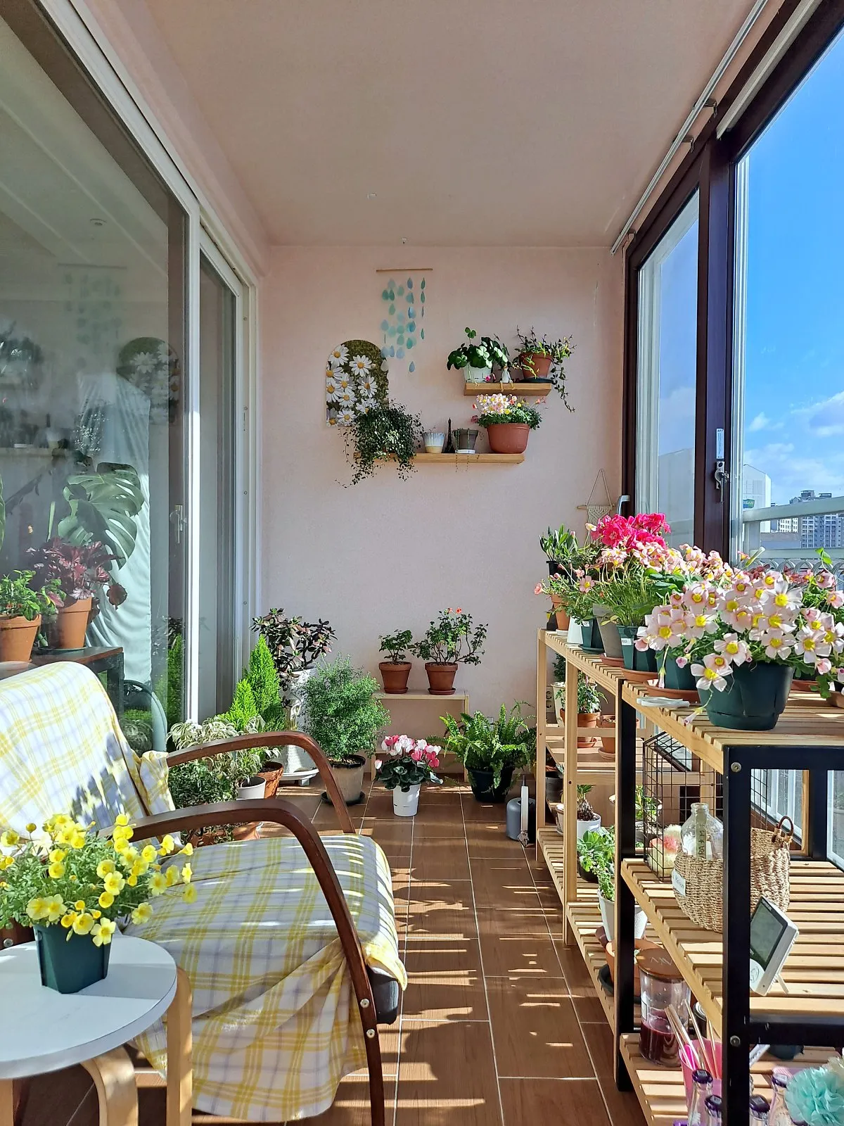 베란다정원 키우기 바람차단 햇빛차광 물주기 여름철 관리 요령_4