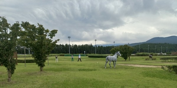 제주도 애월읍 렛츠런파크 파크골프장 소개 (렛츠런파크 제주말 테마파크 골프장)