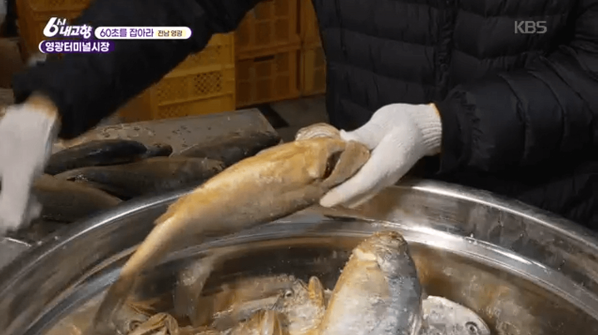 [6시내고향]전남 &amp;#39;영광터미널시장&amp;#39; 굴비 부세 홍어 모싯잎송편 택배 구매 연락처 정보