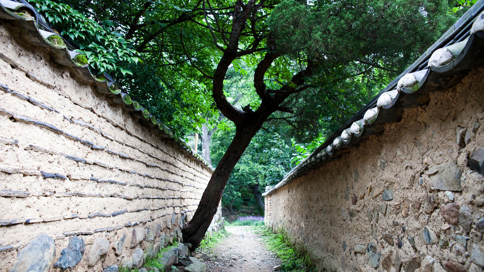 정승가문의 하인이 저지른 강간살인, 신분은 법 위에 있었는가