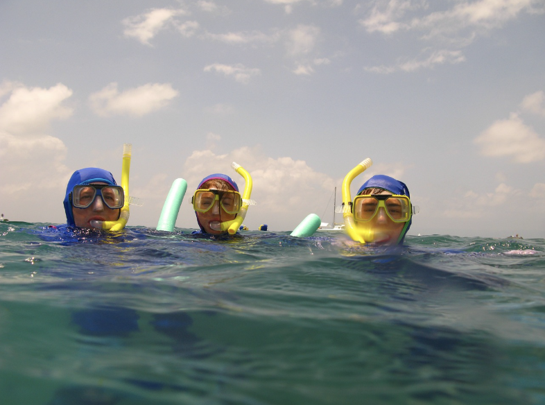 진흙 속의 전략: 보그 쇼핑(bog snorkelling)의 세계