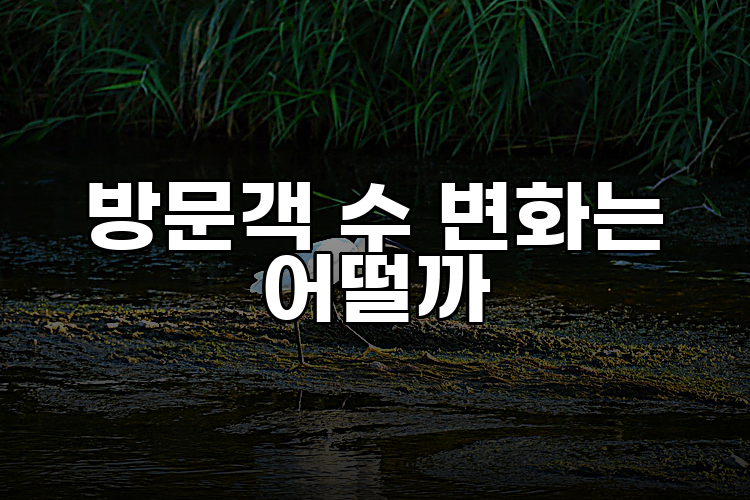 방문객 수 변화는 어떨까