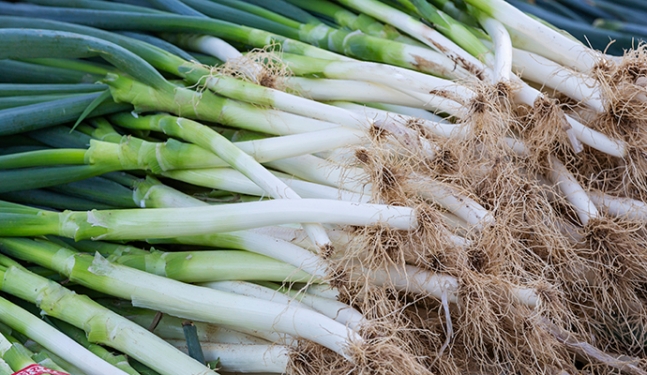 뇌출혈 예방에 좋은 음식(혈전에 좋은 음식) - 대파차 만드는법, 효능