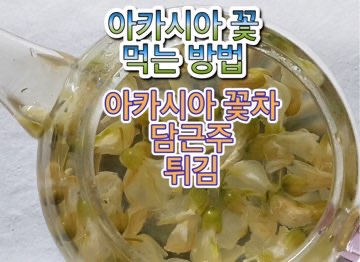 아카시아-꽃-차-먹는법-부작용