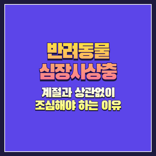 반려동물 심장사상충, 계절과 상관없이 조심해야 하는 이유