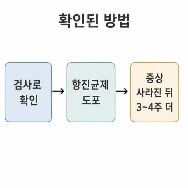 무좀 치료 순서, 검사로 확인한 뒤 항진균제를 바르고 증상이 사라진 뒤에도 3~4주 더 이어가는 단계 도표