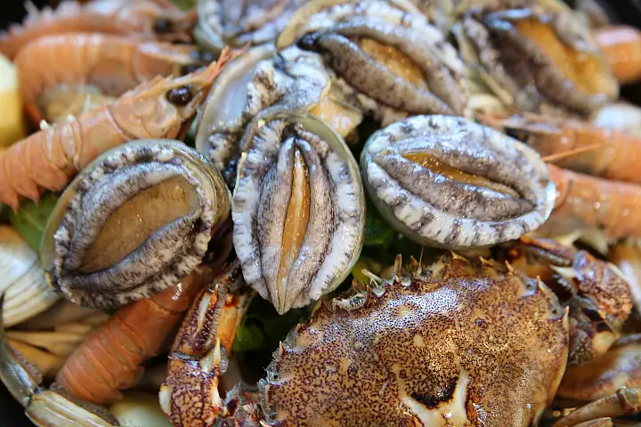 생생정보 문어 해물 감자탕 해물감자탕 맛집