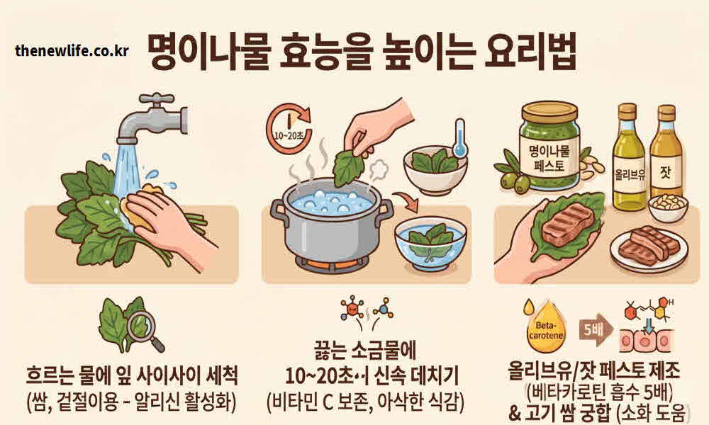 명이나물 효능 높이는 요리법
