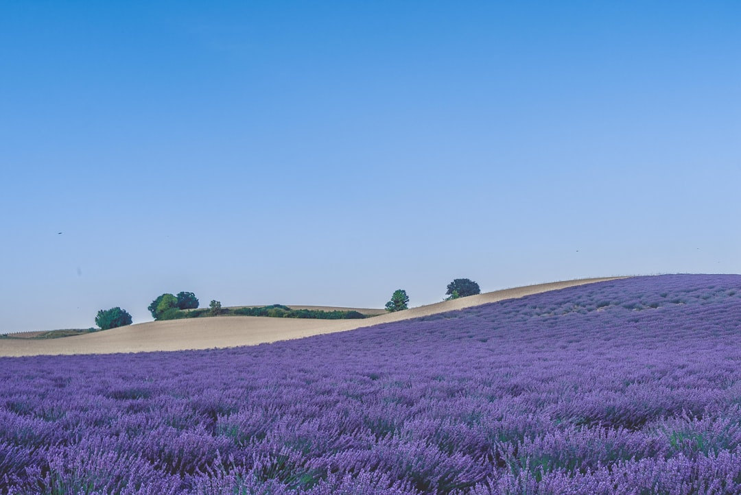 Provence