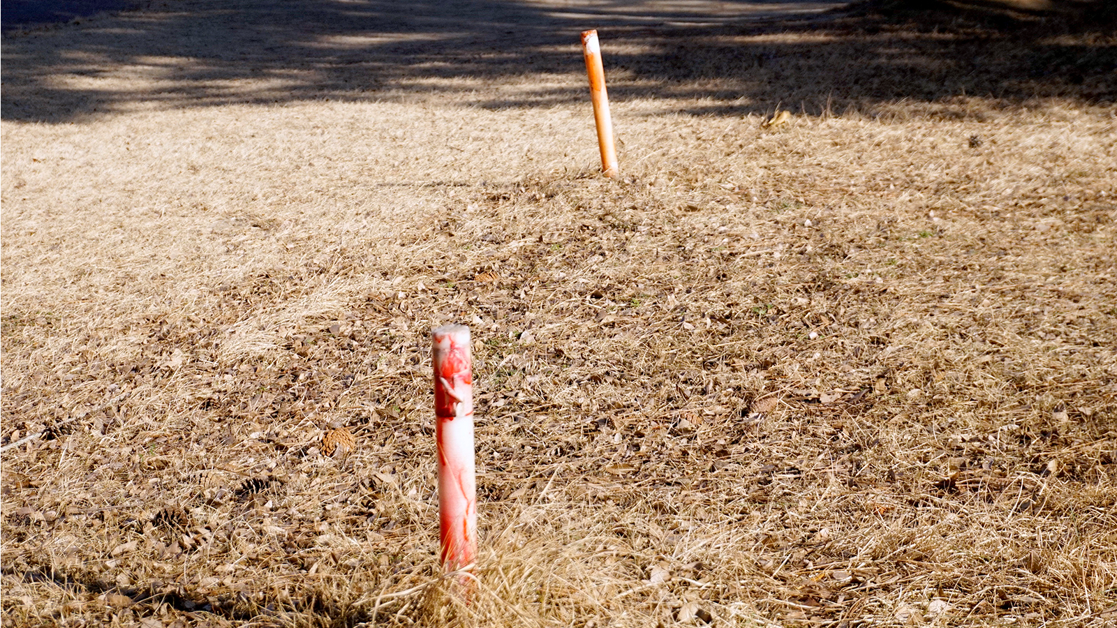 파크골프 입문자를 위한 용어 총정리
