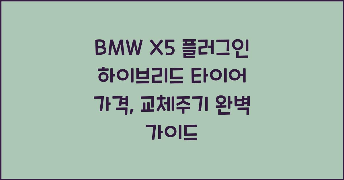 BMW X5 플러그인 하이브리드 타이어 가격, 교체주기