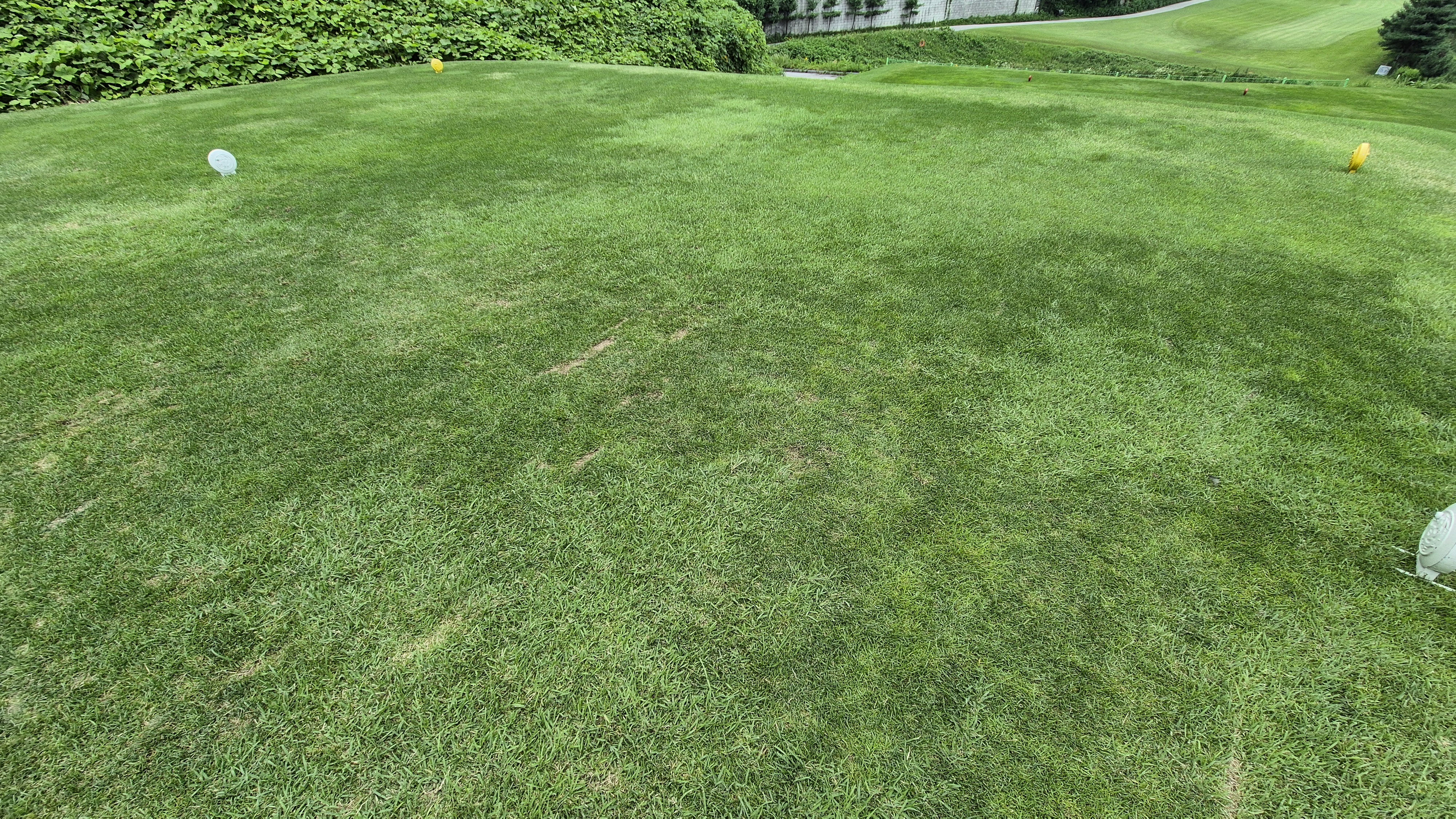 참밸리cc 라운드 후기