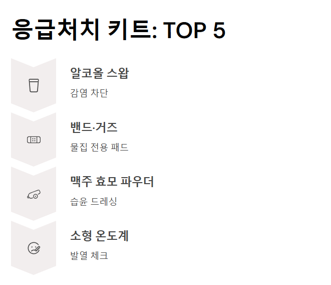 여행 시 비상약 리스트