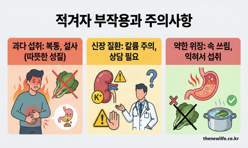 따뜻한 성질로 인한 복통, 신장 질환자의 칼륨 주의, 위장 자극 등 적겨자 섭취 시 주의해야 할 3가지 부작용을 정리한 인포그래픽