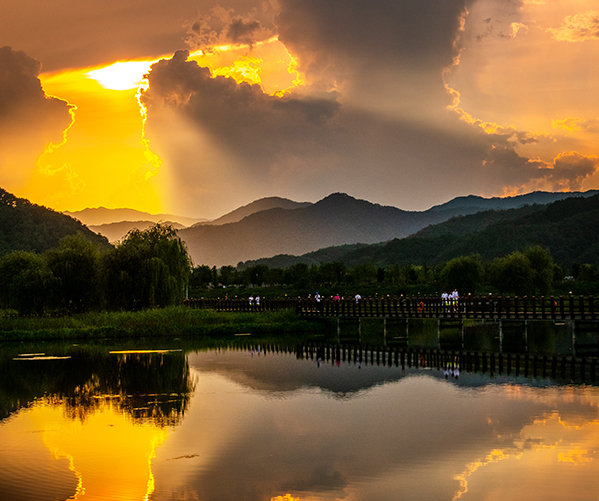 11월 지역 축제 강원 세종 대전 가을 축제
