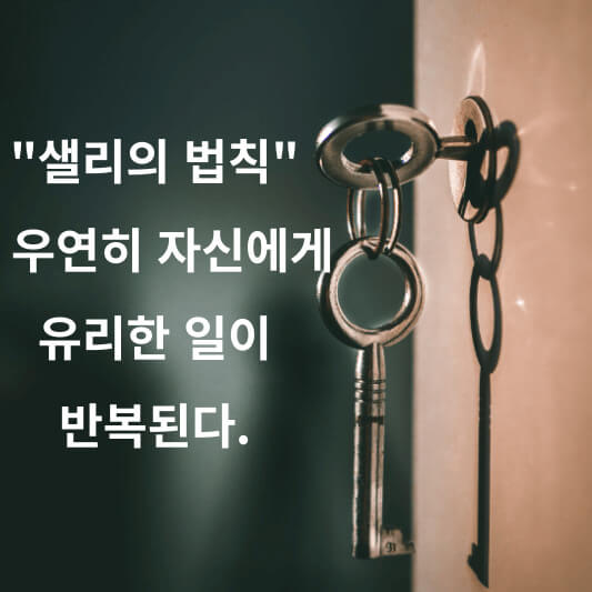 샐리의 법칙