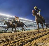 2025년 하반기 한국마사회 채용 직무