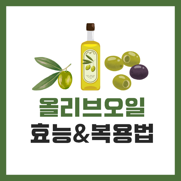 올리브오일 효능 및 복용법