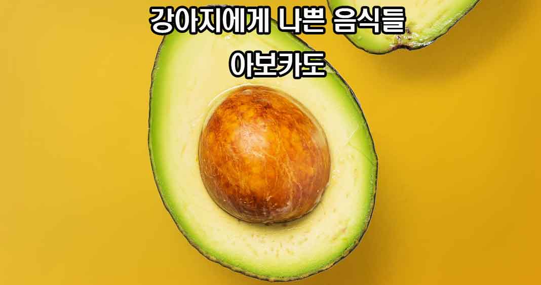강아지에게 나쁜 음식들, 강아지에게 해로운 음식들