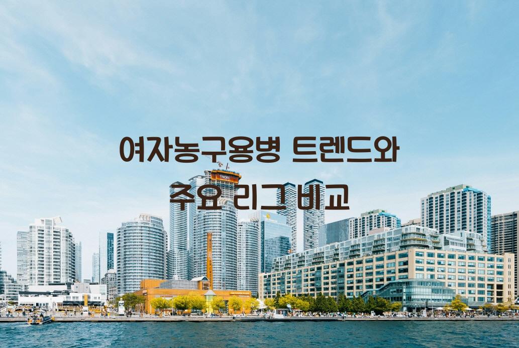 여자농구용병