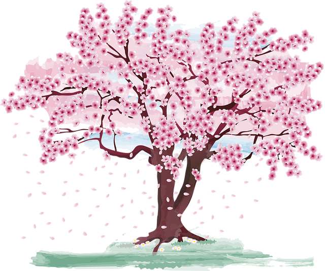 2025년 벚꽃 개화시기 명소