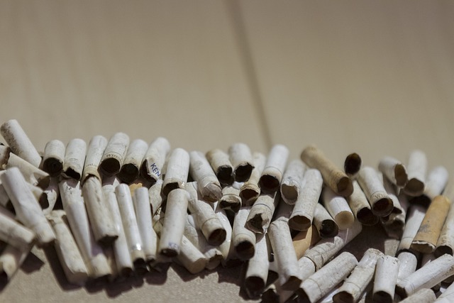 화장실 변기 막힘