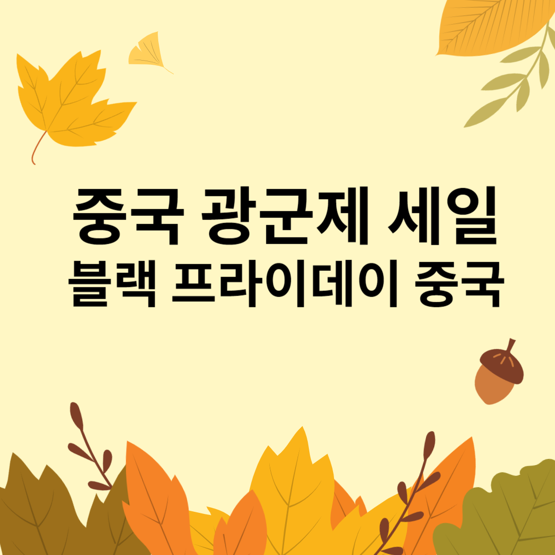 중국 광군제 세일 문자