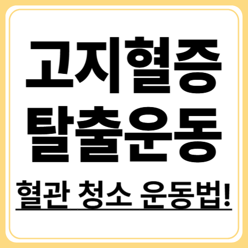 고지혈증 관리 운동법! 집에서 시작하는 심혈관 강화 루틴