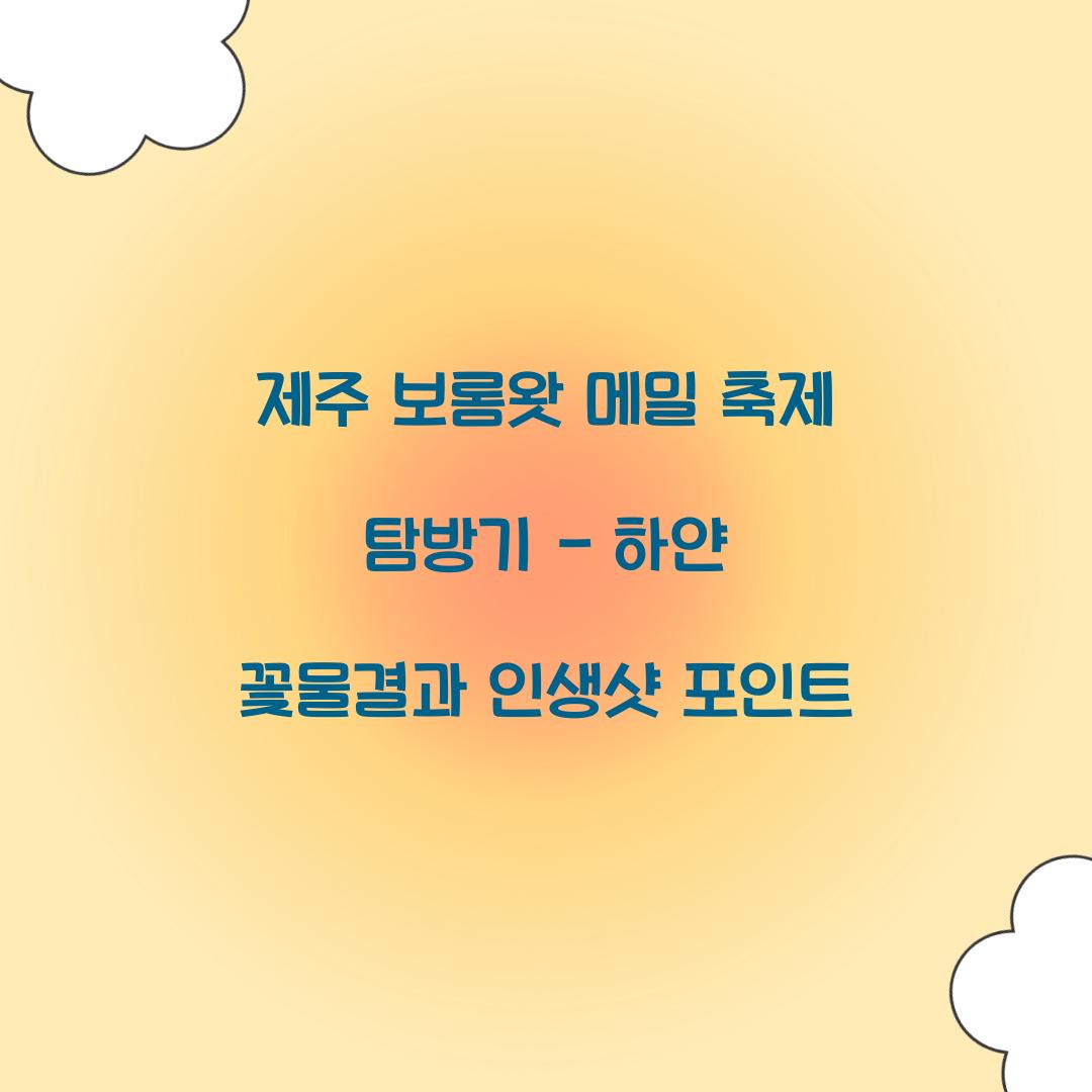 제주 보롬왓 메밀 축제