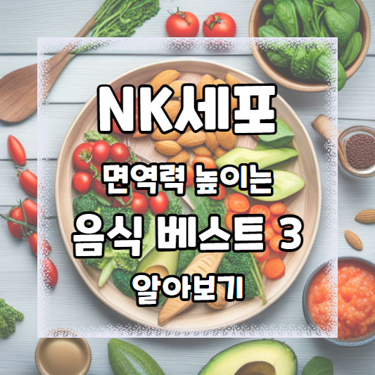 NK세포 면역력 높이는 음식 베스트 3 알아보기