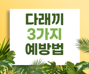 다래끼 예방 3가지 방법