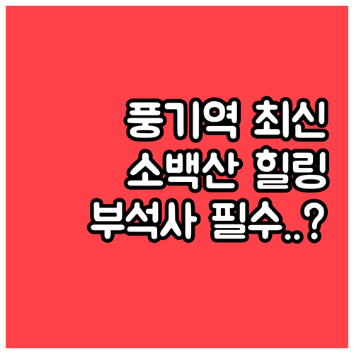 풍기역 기차 시간표 확인하고 떠나는 ..