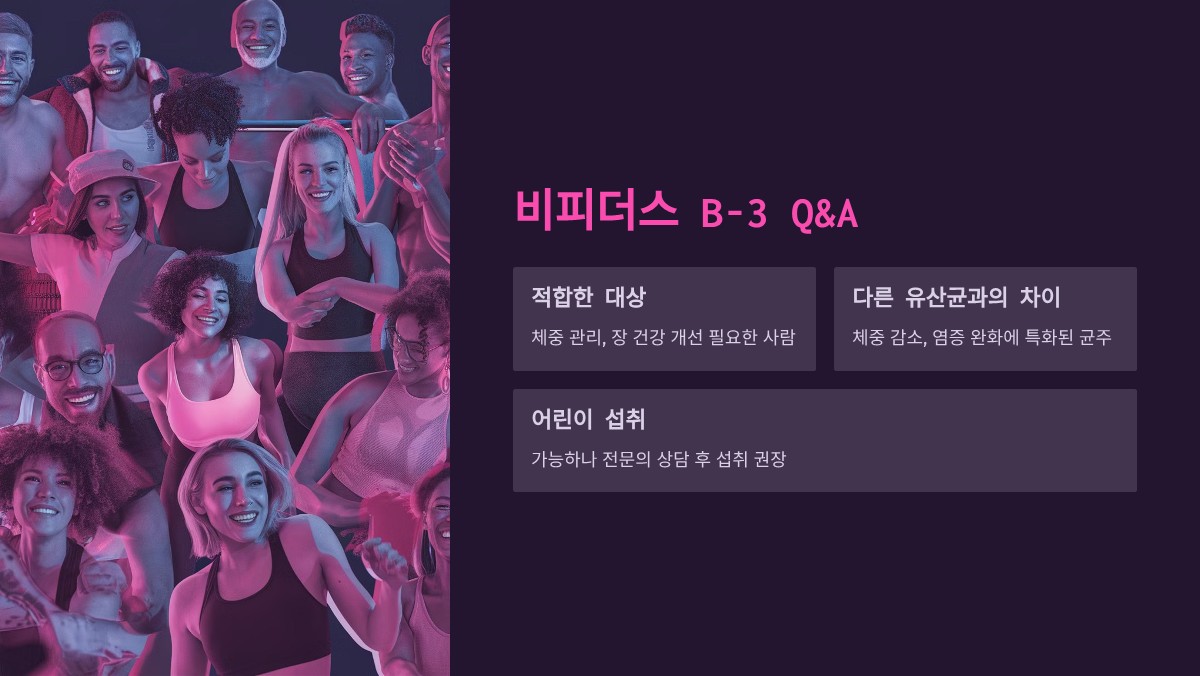 비피더스 B-3