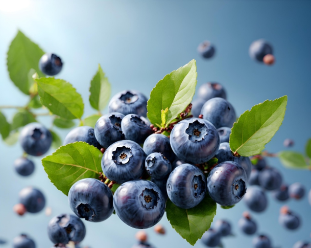 노화를 늦추는 슈퍼푸드 8가지