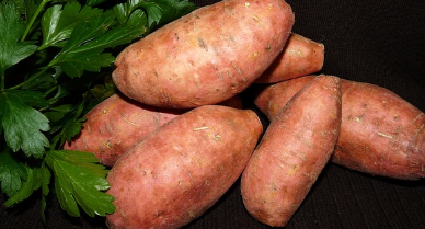 고구마 찌는법, 고구마 삶는법, 고구마 칼로리