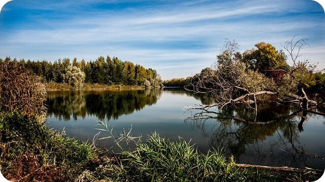 청남대 예약접수 및 입장료 알아보기 - 청남대 예약접수 - 관람안내