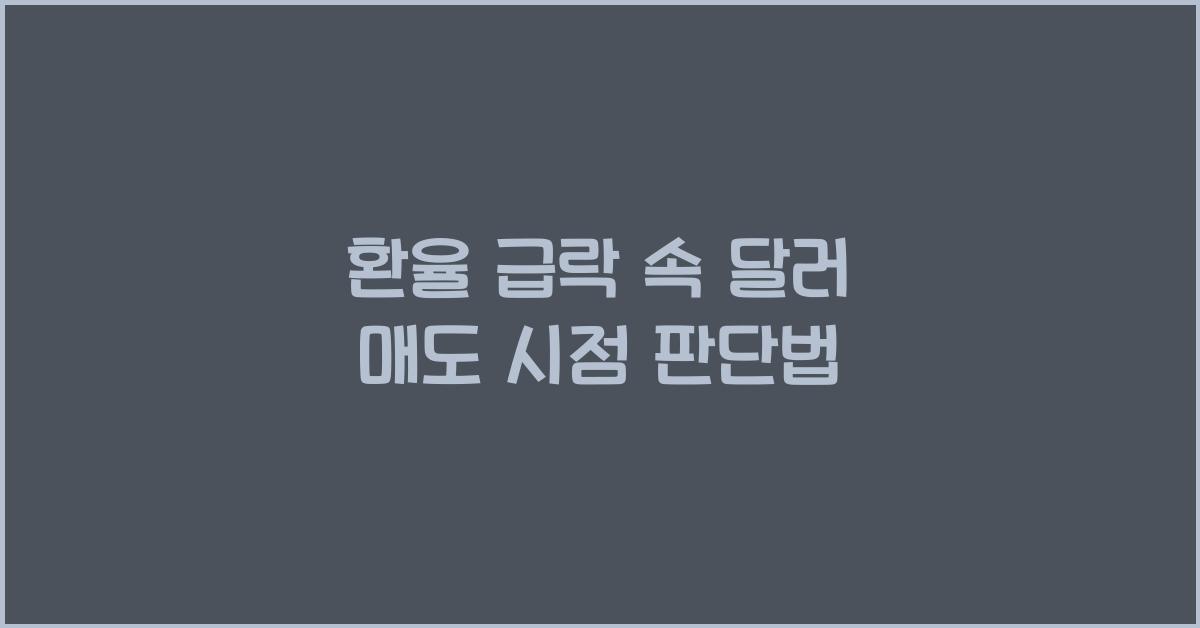 환율 급락 속 달러 매도 시점