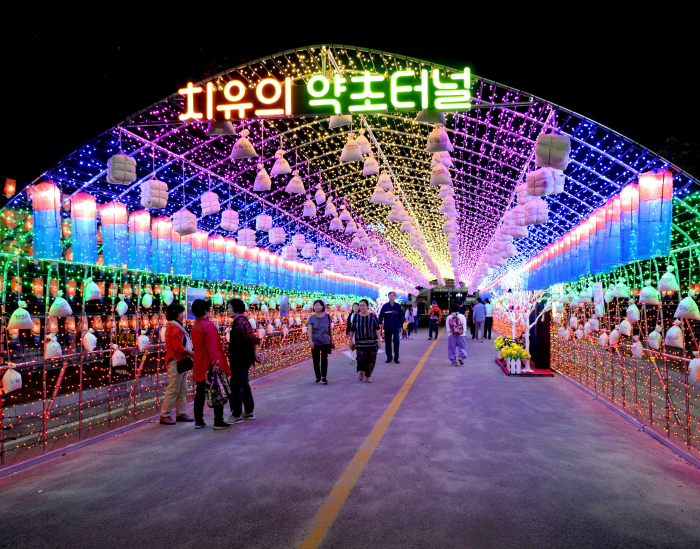 산청 한방약초축제