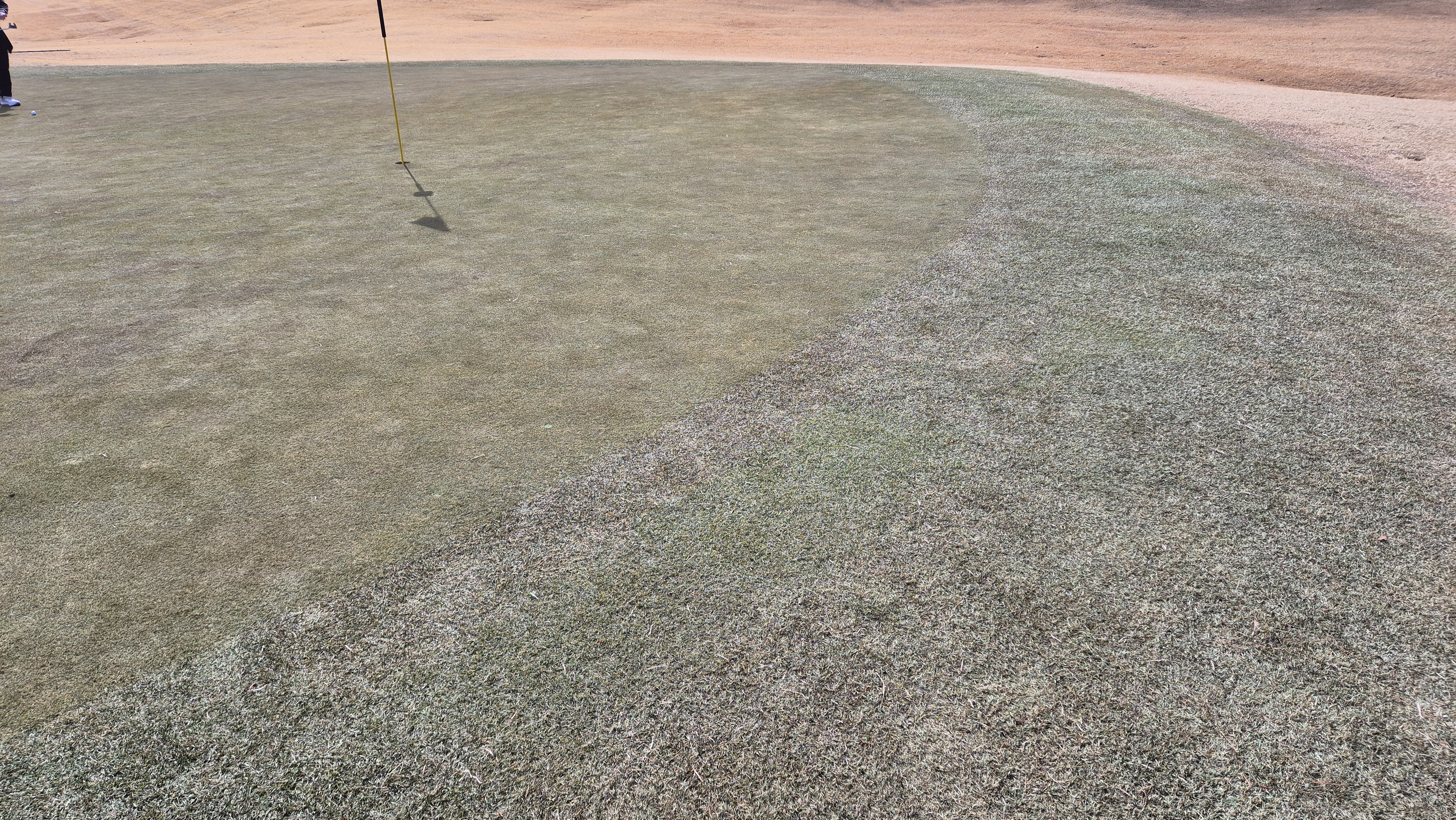 코리아cc 크리크-레이크 코스 그린 관리 상태