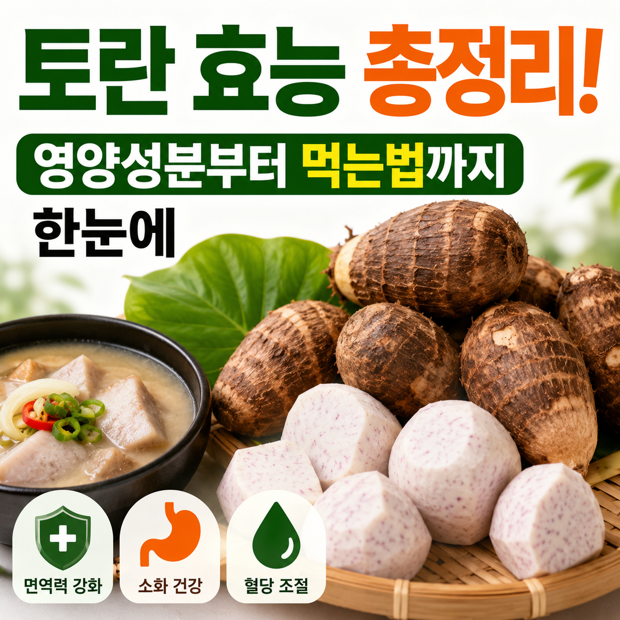토란 효능