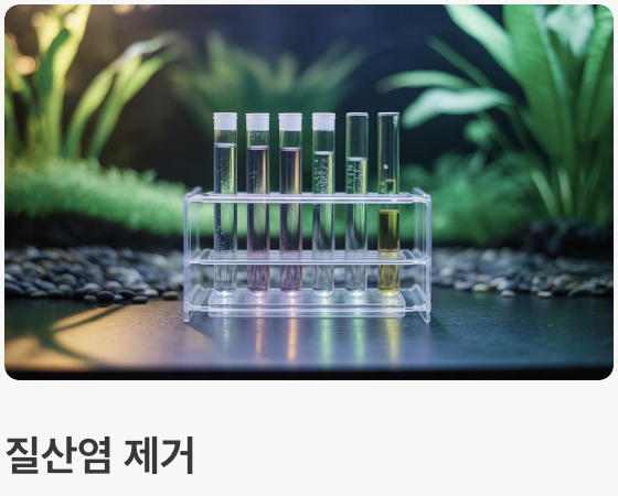 수질 관리 - '깨끗한 물'이 최고의 보약
