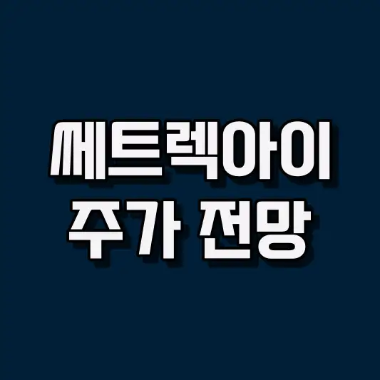 쎄트렉아이 주가 전망
