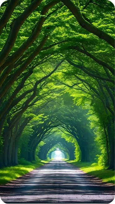 &ldquo;이제 나도 해냈다&rdquo; &ndash; 창의 여정의 선언문 쓰기 : 코시팅(KST)